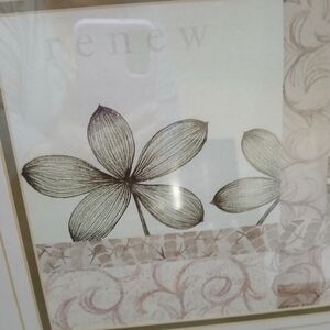 5 Petal Flower And Plant prints: colored pencil originals by Lorraine Rossi